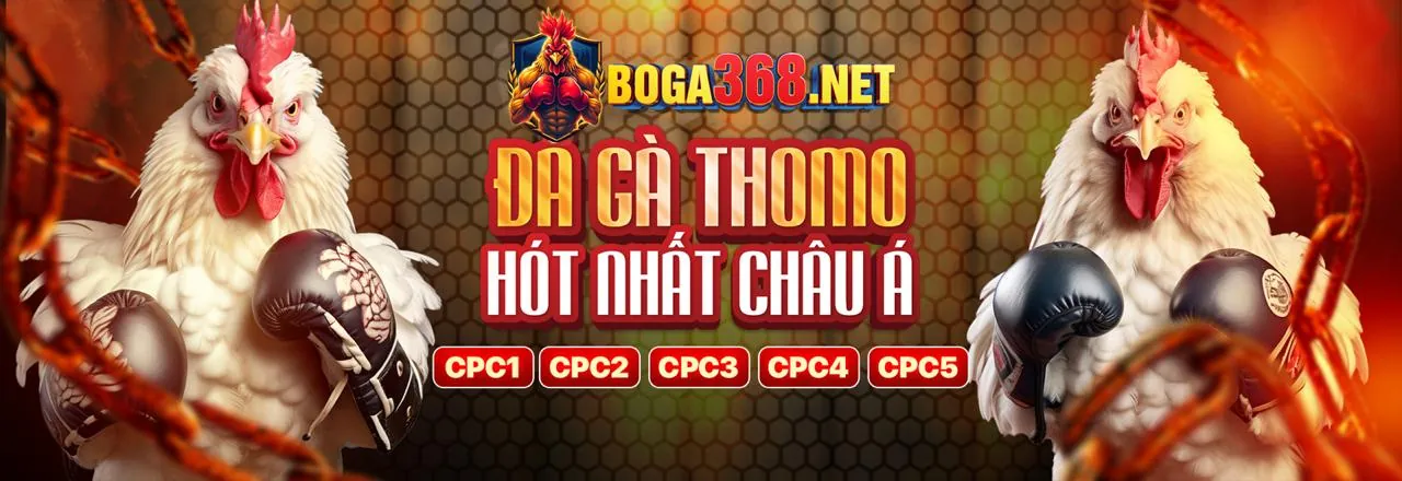 Hướng dẫn đăng nhập New88 cho thành viên