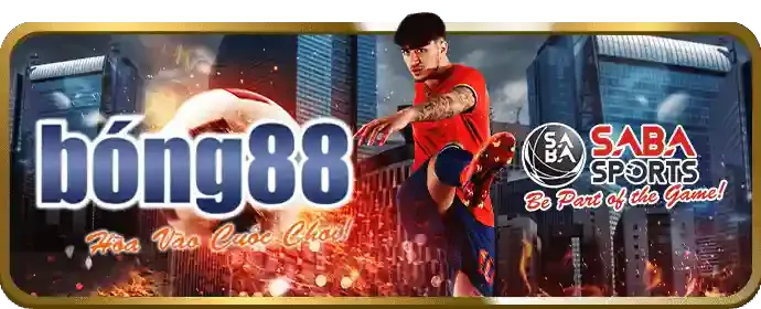Cá cược thể thao New88